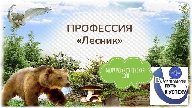 Профориентационное занятие &amp;quot;Профессия лесник&amp;quot;.
