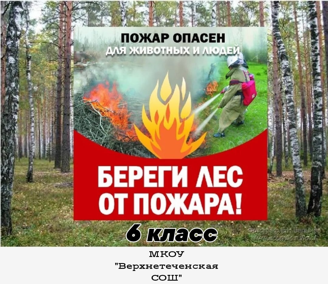 &amp;quot;Берегите лес от пожара&amp;quot;.