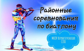 Районные соревнования по биатлону.